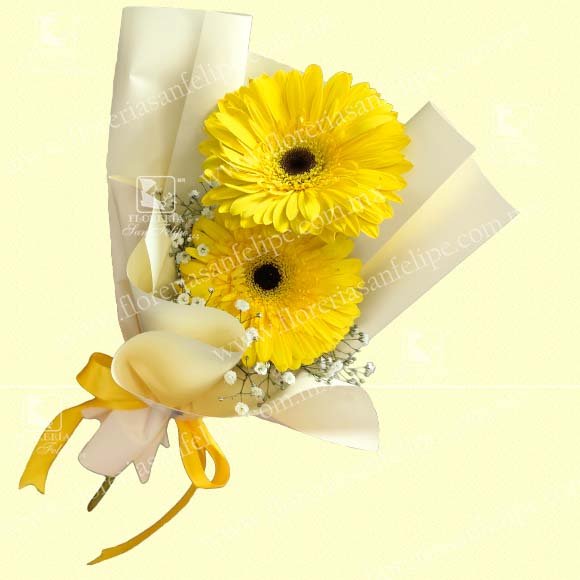 Miniramo con 2 Gerberas